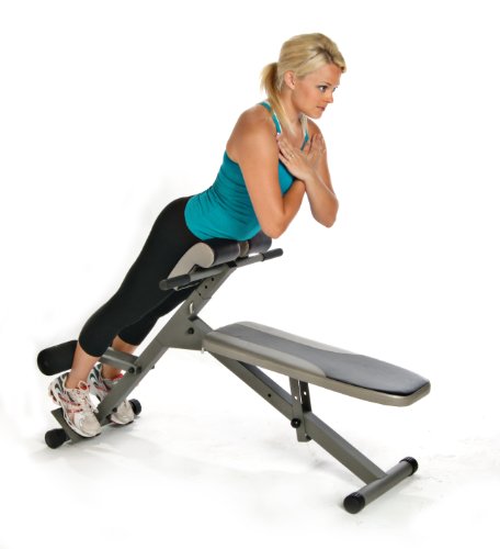 Wall Mount Dip Station with Vertical Knee Raise