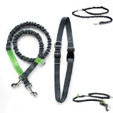 Mighty Paw Hands Free Dog Leash, Premium Running Dog Leash, Lightweight Reflective Bungee Dog Leash