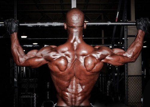 bodyweight back exercises workouts