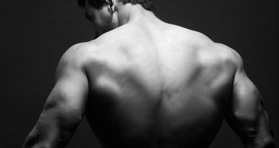 back exercise machine