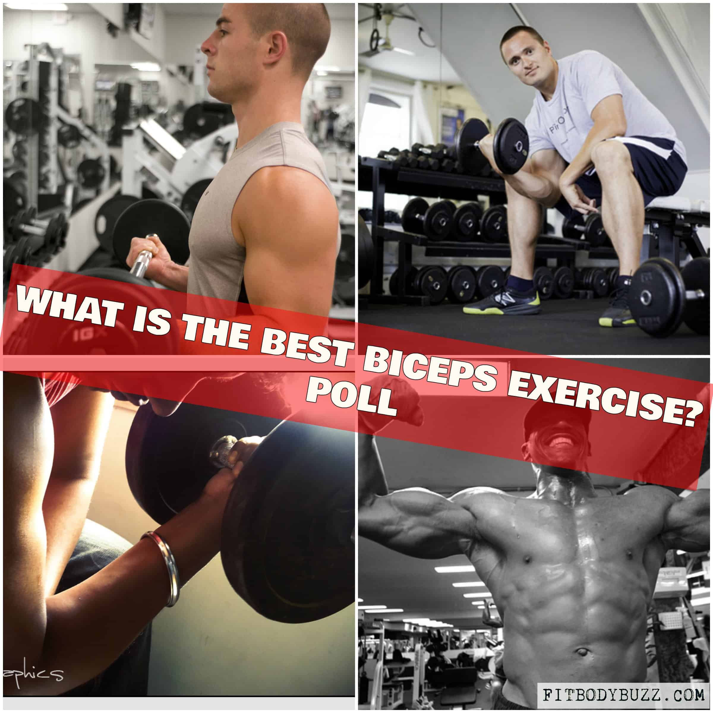 what-is-the-best-biceps-exercise