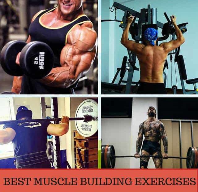 muscle-building-exercises