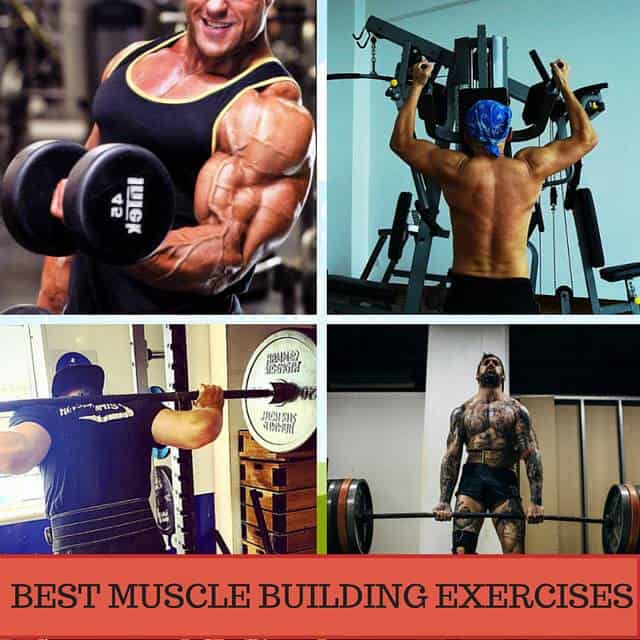 muscle-building-exercises