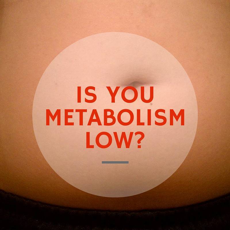 low-metabolic-rate