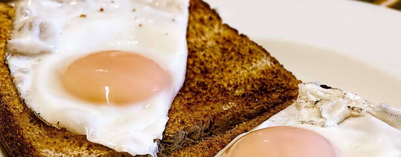 best-source-of-protein