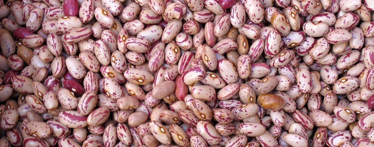 legumes